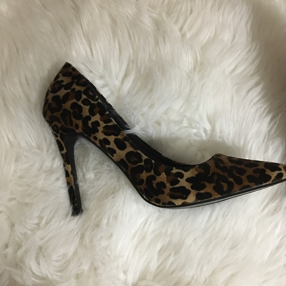 Cheetah pumps